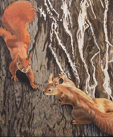 Portfoliobild Wandgemälde Eichhörnchen in Acryl