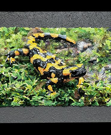 Portfoliobild des Salamander-Mosaiks