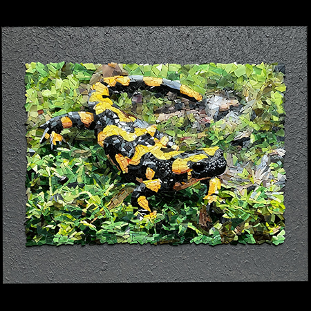 Portfoliobild des Salamander-Mosaiks
