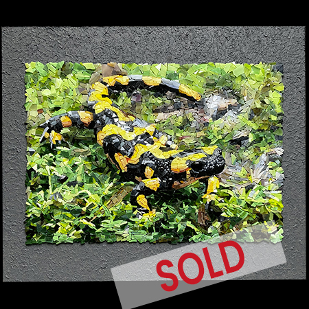 Portfoliobild des Salamander-Mosaiks